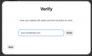 Pop-up box to verify website. 